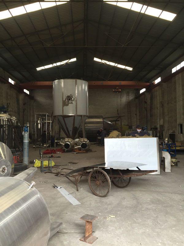 Pharmaceutical GMP Standard Vacuum Dryer Machine