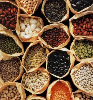 Air Cooled Crusher Spices Grinder/Shredder (FL-350)