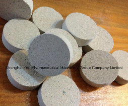 Rotary Tablet Press for Big Size Tablets Manufacturing