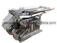 CE Approved Stainless Steel Automatic Vegetable & Food & Herb Slicing Machine