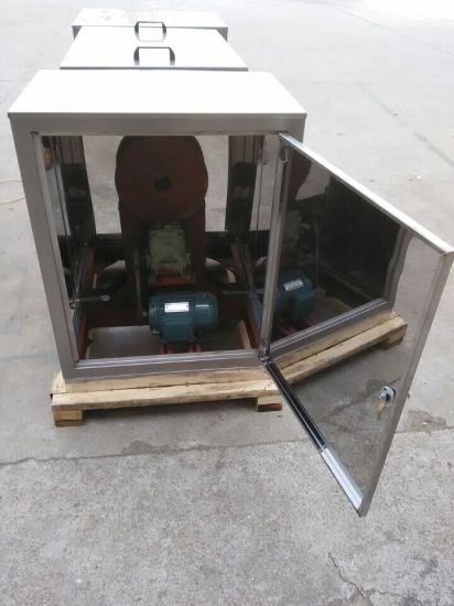CE Approved GMP Standard Pharmaceutical Trouch Mixer