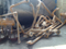China High Quality Sludge Drying Equipment