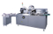 Automatic Pharmaceutical Packaging Cartoning Machine (ZH-100)