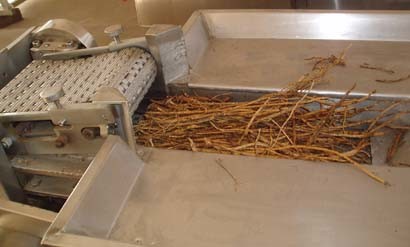 Automatic Herbs Cutting Machine (YJQ-200A)