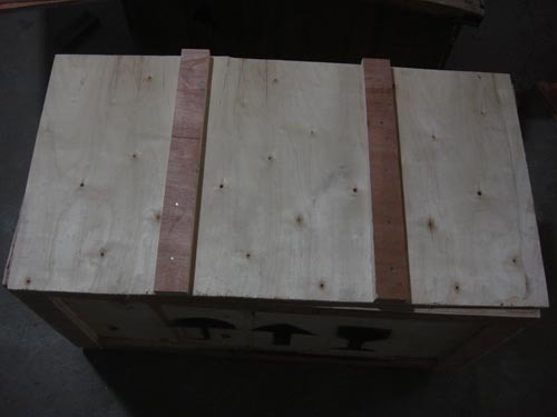 Automatic Pill Making Machine (ZW-80)