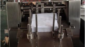 Fully Automatic Cartoning Machine (ZH-120)