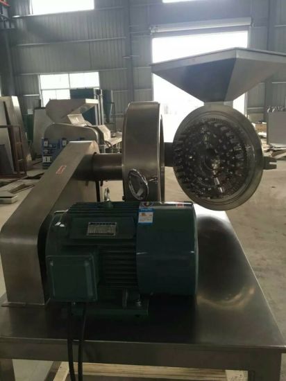 CE Approved Stainless Steel Automatic Vegetable & Food & Herb Slicing Machine